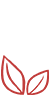 安装快捷